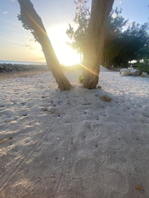 Siemon à Curaçao - Le Pouvoir du Sport